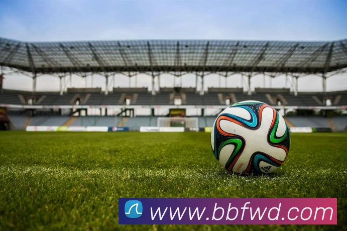 问鼎娱乐平台生态图